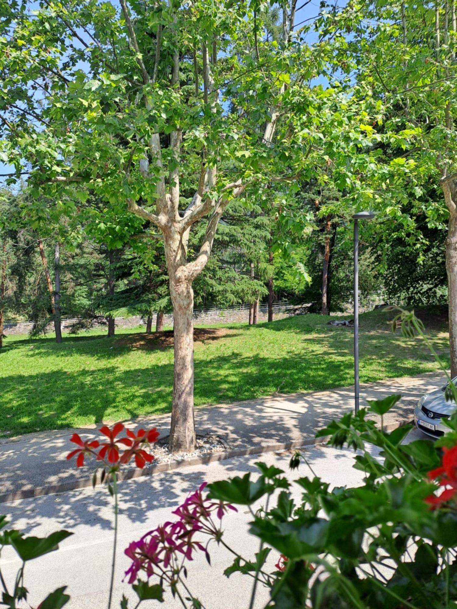 Apartamento Casa Alby Levico Terme Exterior foto