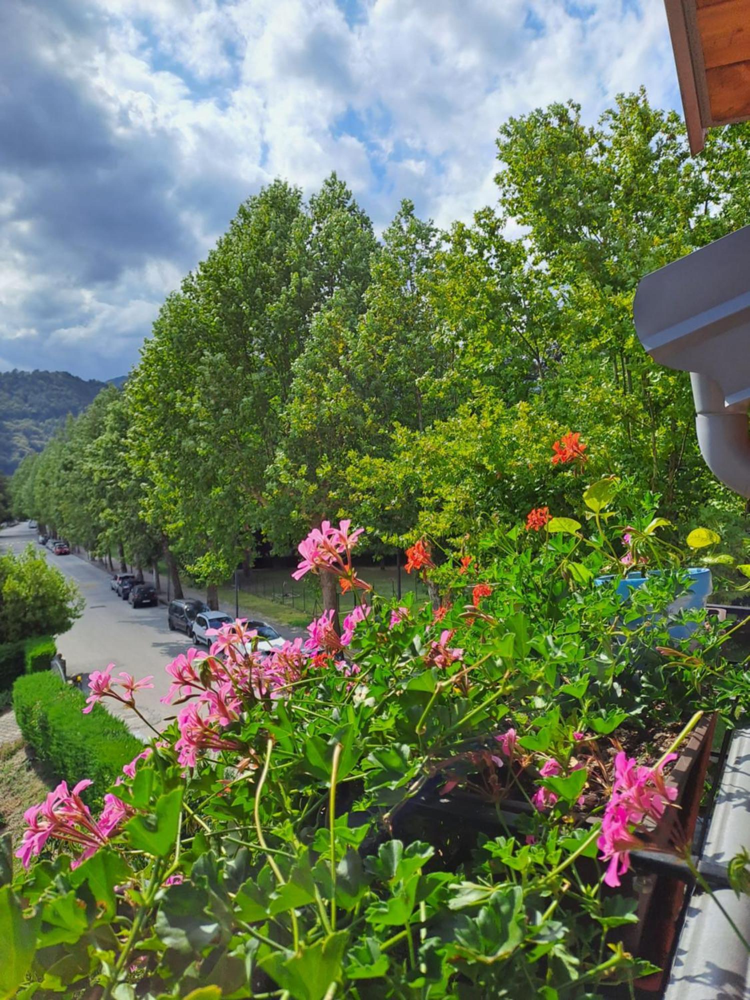 Apartamento Casa Alby Levico Terme Exterior foto